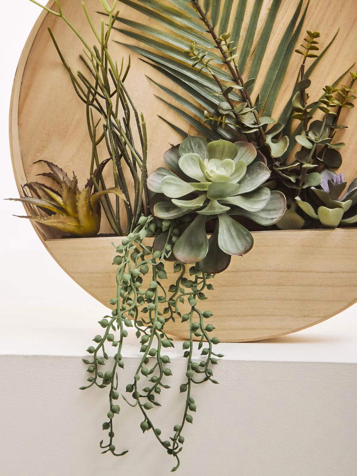 Orsina Fiori Mixed Green Succulents in a Round Wooden Wall Planter – 3