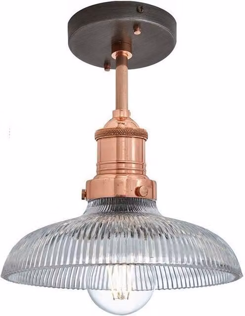 Industville Brooklyn Industrial Glass Dome Flush Mount Ceiling Light with Copper Holder, Diameter: 20.32 cm