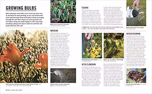 Grow Bulbs: Essential Know-how and Expert Advice for Gardening Success by DK, Multicolour – 4