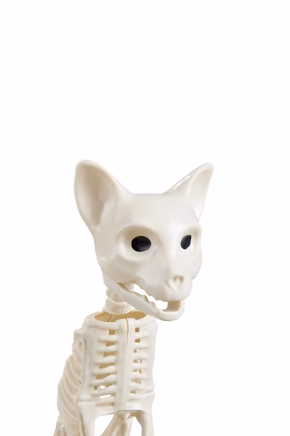Living and Home Spooky Cat Skeleton Figurine Bone Statue for Halloween Decor in Beige and White – 2