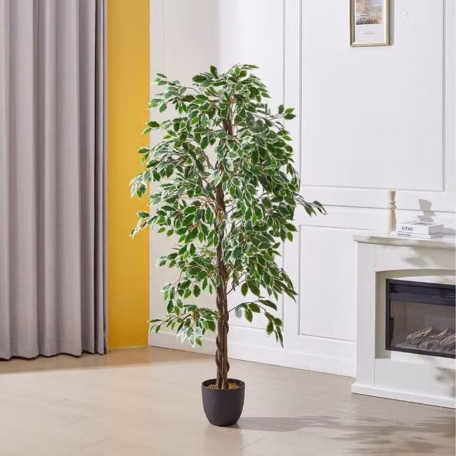 Lifeideas Decorative Artificial Ficus Tree in Green, Height: 180 cm, Width: 65 cm