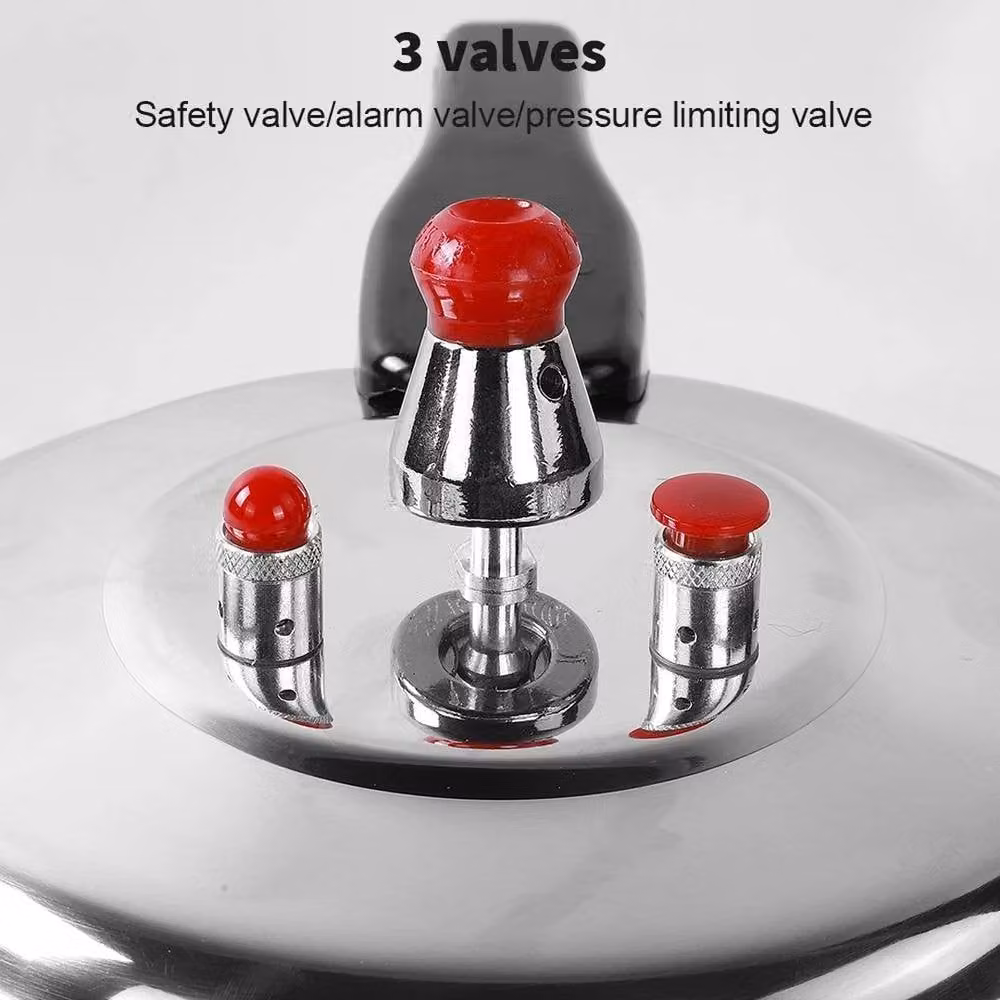 PAWNORA 9L Aluminium Pressure Cooker with Dual Handles in Silver – 4