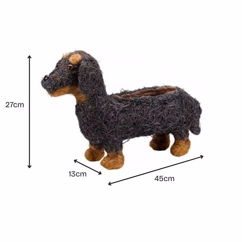 Marco Paul Sausage Dog Flower Planter, Brown, Height: 45 cm – 2