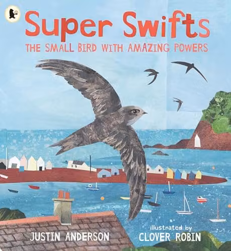 Super Swifts: The Small Bird With Amazing Powers Nature Storybook by Walker Books, Multicolour Paper Edition