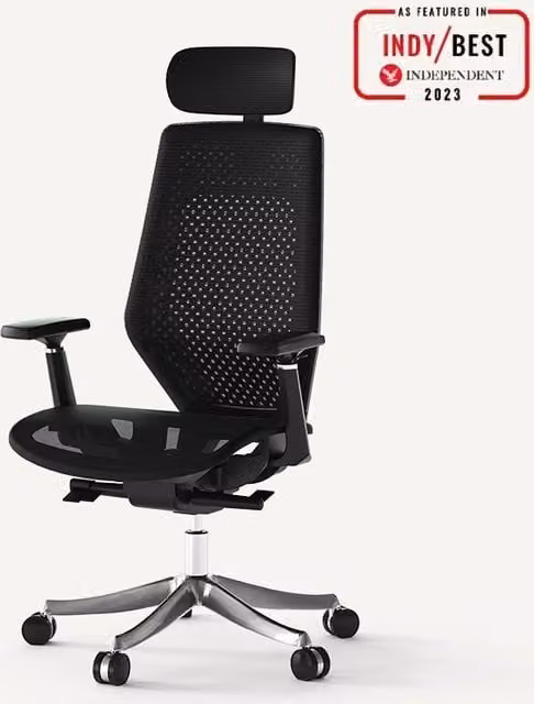 FlexiSpot BS11PRO Ergonomic Mesh Office Chair with Headrest and Armrests, Black
