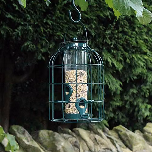 Natures Market BF008S Green Metal Wild Bird Seed Feeder Cage with Squirrel Guard – 3