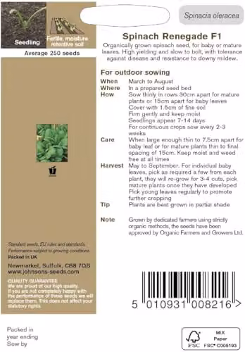 Johnsons Organic Renegade F1 Spinach Vegetable Seeds, Green – 2