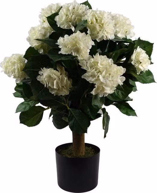 White Artificial Potted Hydrangea Plant with Textile Leaves, Height: 70 cm