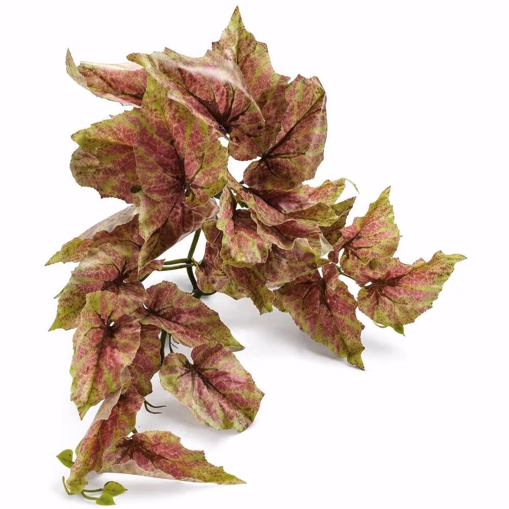 Premium Leaf Artificial Trailing Caladium Hanging Plant in Dark Pink, Green and Yellow, 30 cm – 2