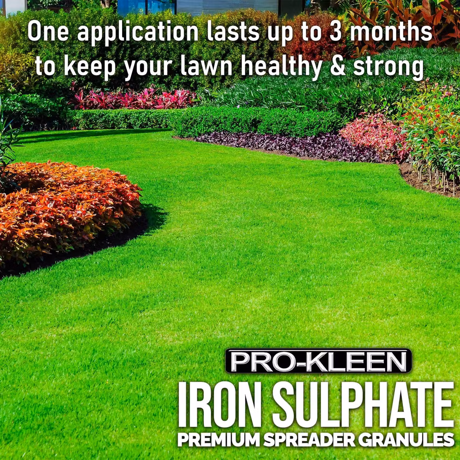ProKleen Iron Sulphate Spreader Granules for Lawn, 20kg – 2