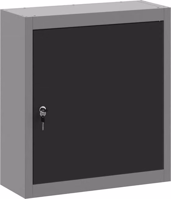 Berkfield Home Wall-Mounted Metal Tool Cabinet in Black and Grey, W/D/H: 50 x 20 x 55 cm – 1