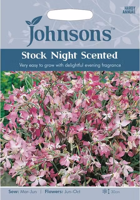 Johnsons Pink Night Scented Stock Flower Seeds