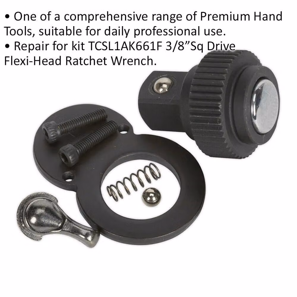 Loops 3/8 Inch Sq Drive Repair Kit for ys01581 48-Tooth Ratchet Wrench, Black and Multicolour – 2