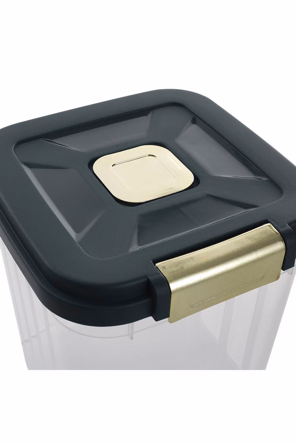Garden Sanctuary Large Capacity Food Storage Container in Transparent Plastic with Silicone Clip – 2