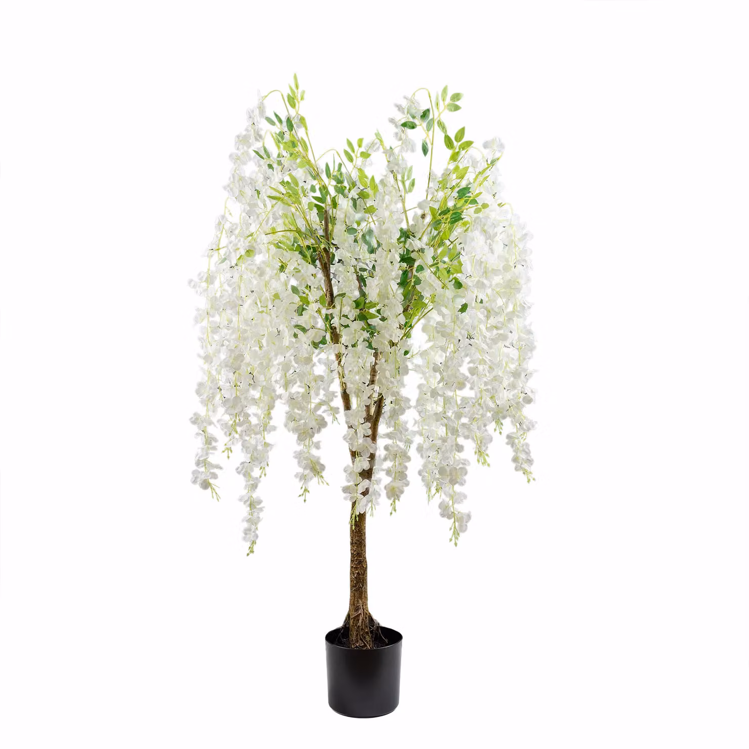 Scottish Everlastings Ltd 150cm Cream Floral Wisteria Tree – 2