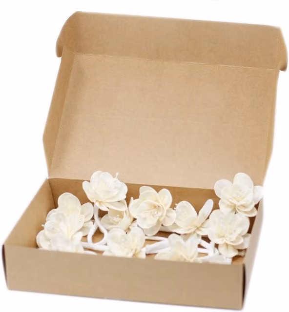 KDMD Natural Diffuser Flowers Set of 12 Small Lily on String in Cream and Beige