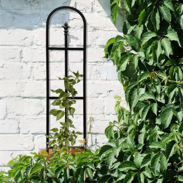 Primrose Decorative Steel Garden Trellis Plant Support Arch, Black, Height: 121 cm