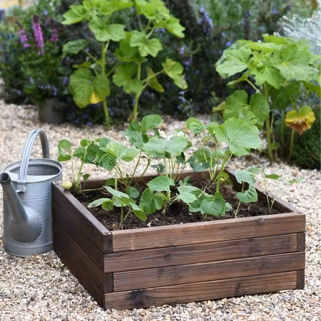 Garden Gear Wooden Raised Garden Bed in Brown, 108 l