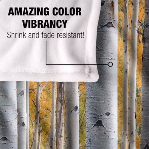 JQ Licensing James Piazza Birch Trees Silky Touch Super Soft Fleece Throw Blanket, White, W: 152 cm, D: 127 cm – 3
