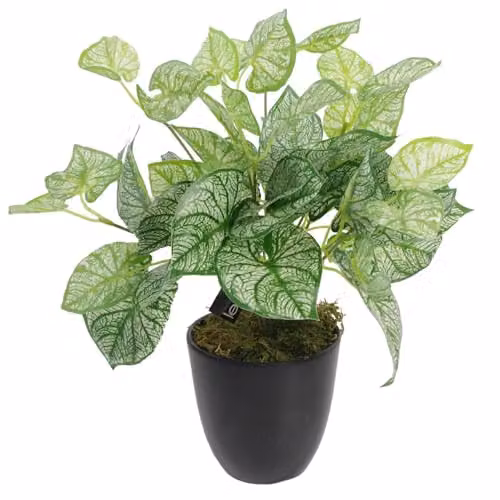 Leaf Design UK Realistic Artificial Caladium Potted Plant in Green, Height: 40 cm – 1