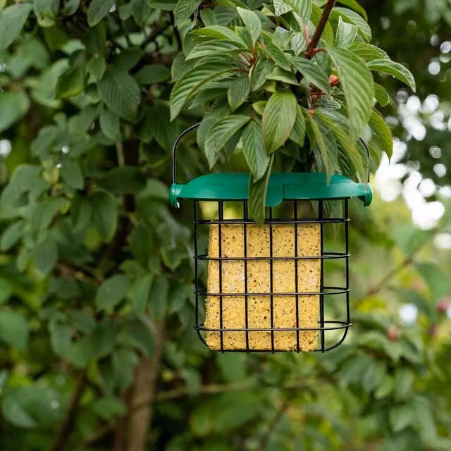 Gardman Flip Top Suet Feast Feeder in Green and Black