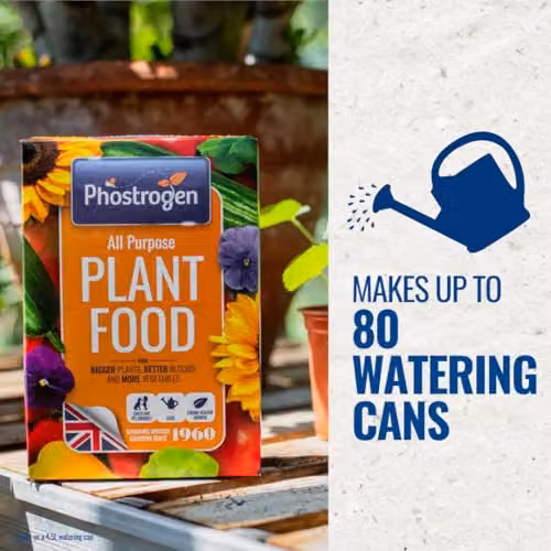 Phostrogen All Purpose Plant Food Granulate, 800g for Indoor and Garden Plants – 3