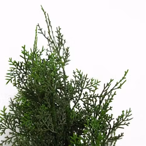 Leaf Artificial Green Cedar Cypress Conifer Tabletop Tree H 90 cm x W 45 cm x D 45 cm – 3
