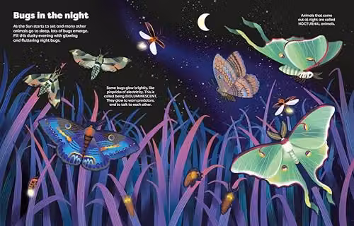 Usborne Big Sticker Book Bugs Multicolour – 2