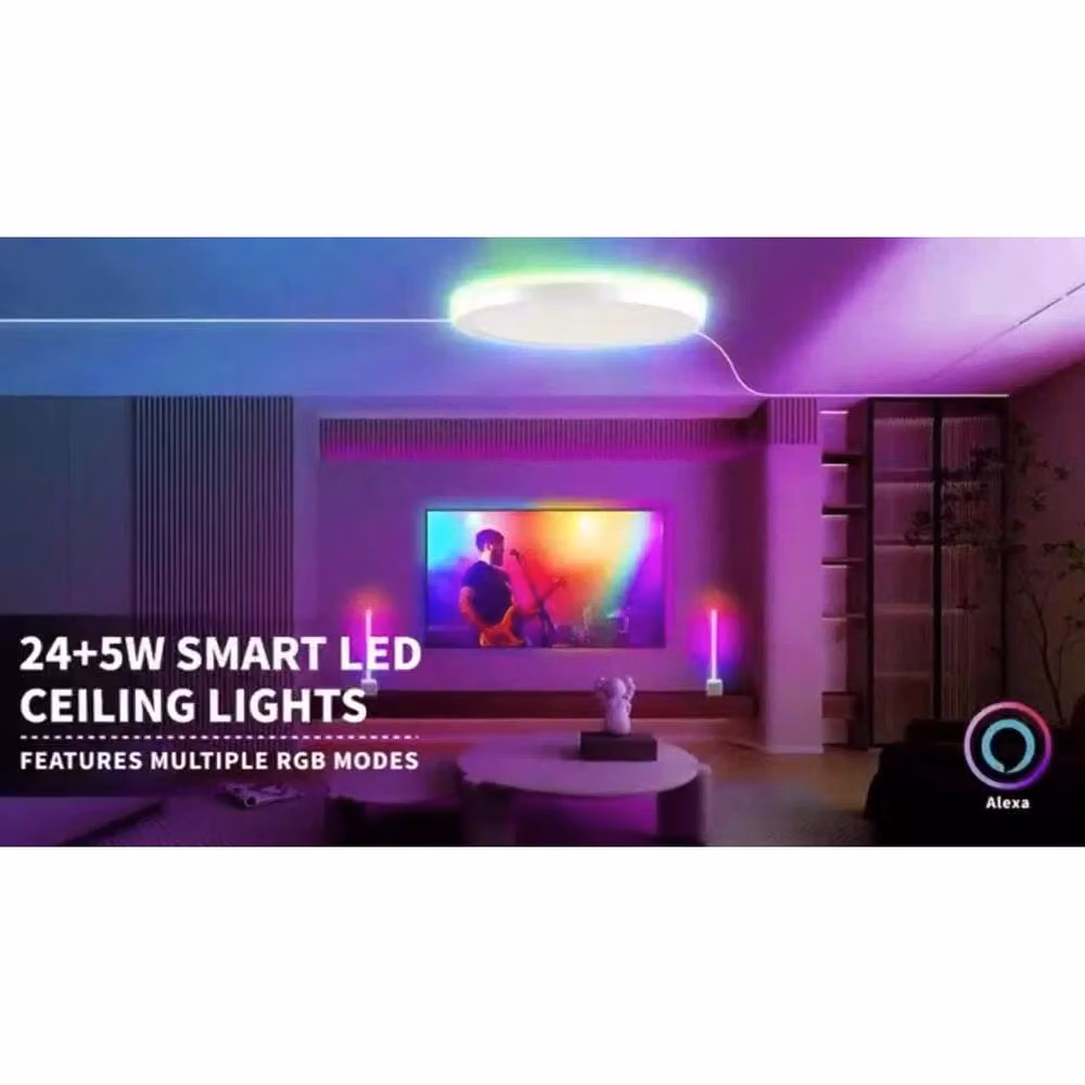 FLAVORA 2pc 24W RGB LED Ceiling Light, Dimmable Flush Mount Lamp in White – 2