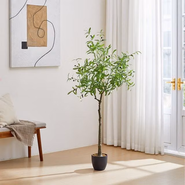 Lifeideas Decorative Artificial Green Olive Tree with Pot, Height: 175 cm, Width: 68 cm