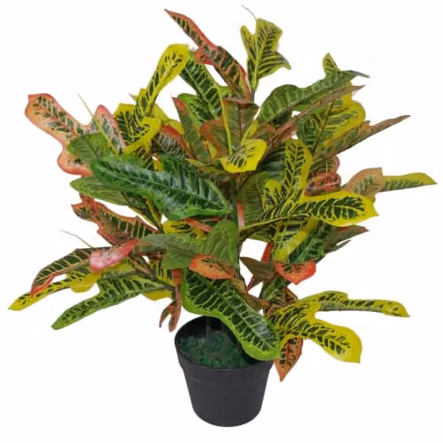 LeafUK Multicoloured Artificial Codiaeum Multicoloured Potted Tabletop House Plant – 1