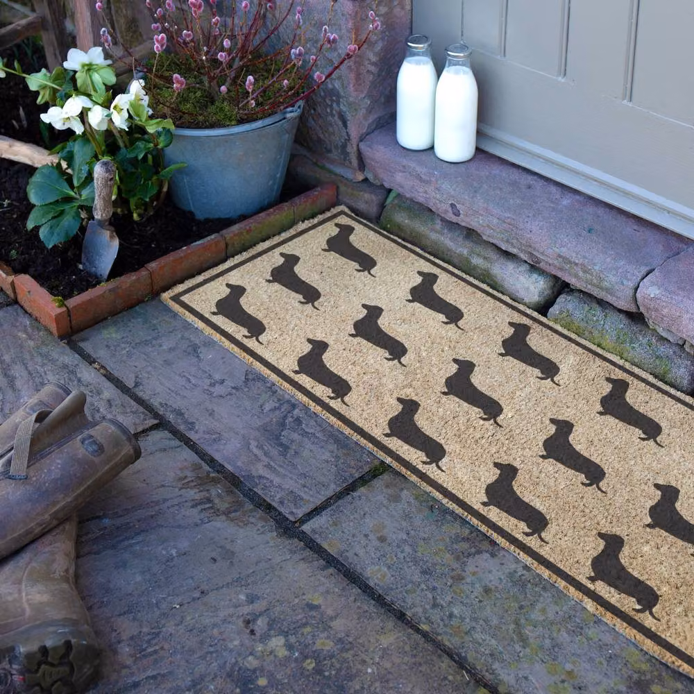 Artsy Mats Dachshund Pattern Coir Doormat in Brown, W/D: 120 x 40 cm – 3