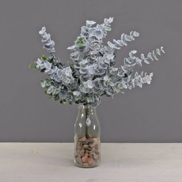 KDMD Eucalyptus Bush in Snow Green