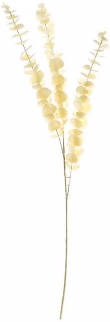 KDMD Essential Dry Look Eucalyptus Stem 3 Pack in White and Beige