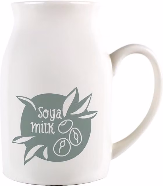 Purely Home Boho Small Ceramic Serving Jug in Green and White