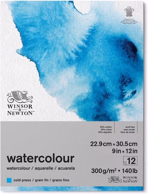 Winsor & Newton Professional Watercolour Cold Press Paper Pad, Blue, W: 22.9 cm, H: 30.5 cm