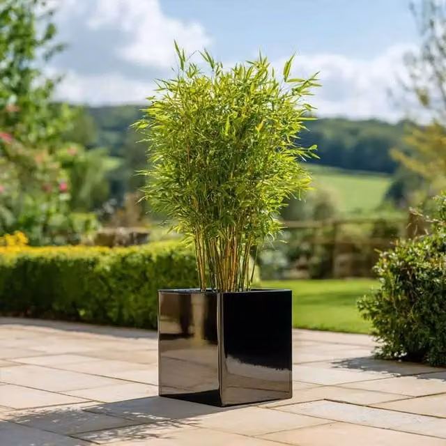 Platinum Black Square Galvanised Steel Planter Tub, 30 cm