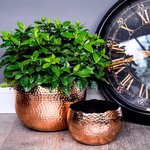 Ivyline Round Hammered Metal Planter Bowl in Copper and Black, H21cm x D30cm – 5