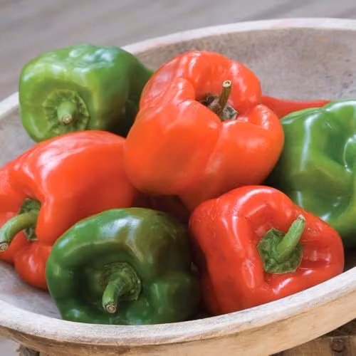 Thompson and Morgan Sweet Pepper Sweet Crispy F1 Red Vegetable Seeds, 10 Seeds