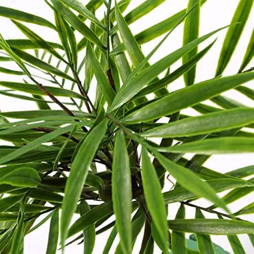 Leaf Design Green Artificial Hanging Plants Multipack, 6 x 40 cm – 2