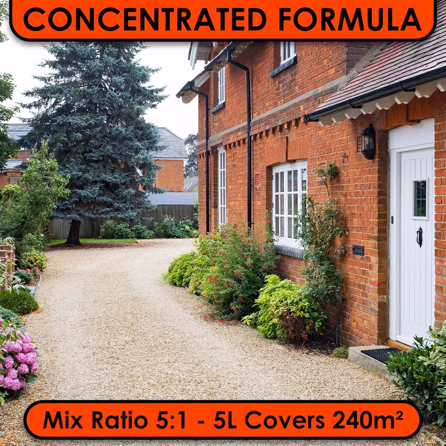Cleenly Concentrated Resin Driveway and Patio Cleaner, 2 Pack, Clear – 3