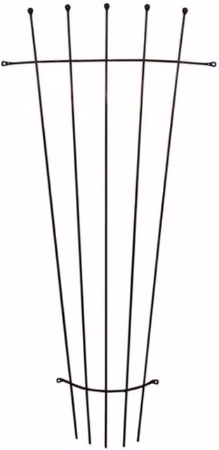 Garden Pride Black Metal Wall Mounted Fan Trellis, W/H: 122 x 122 cm