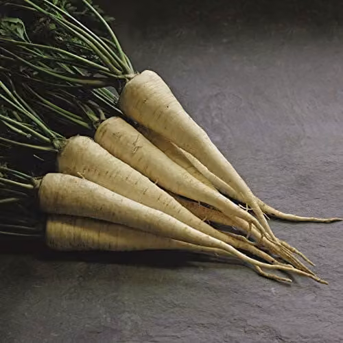 Thompson and Morgan Parsley Hamburg Arat Herb Seeds, 1 Packet