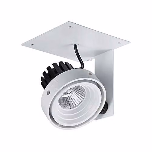 Netlighting Modern Technical LED Recessed Ceiling Light in White or Black, 4000K Cool White, 980lm