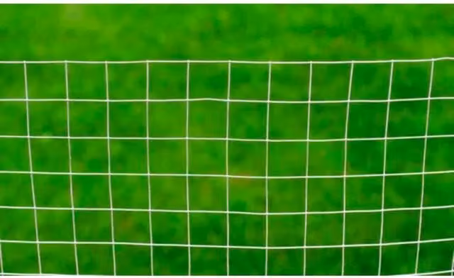 Berkfield Home Modern Chicken Wire Fence, Galvanised Steel, Silver, 1 x 10 m