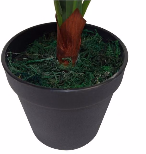Dyzi 60cm Artificial Potted Bird's Nest Fern (Asplenium Nidus) in Green