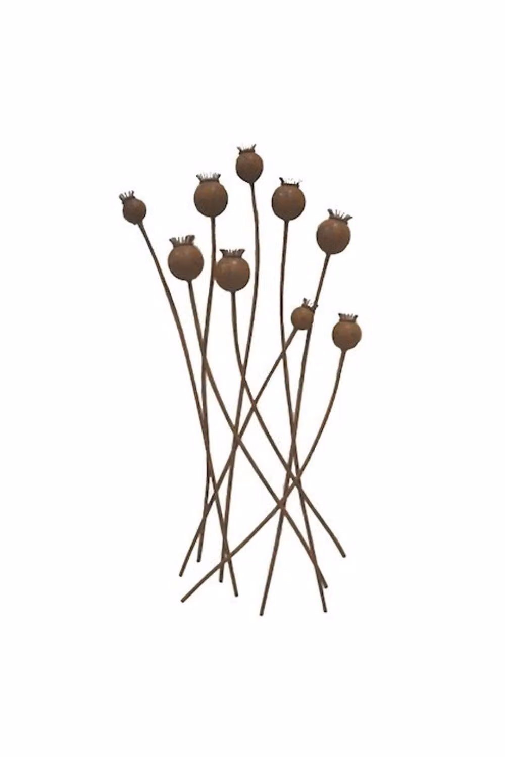 KDMD Poppy Head Botanical Wall Art in Gold, 80 cm – 2