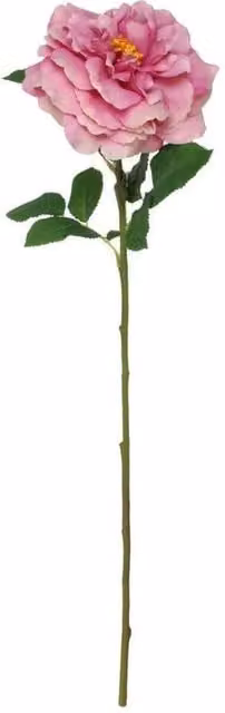 KDMD Balmoral Wild Rose Purple Floral Decoration, 2 Pack, Height: 65 cm