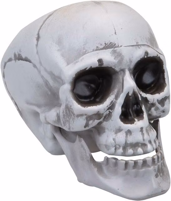 VFM e-Store Large Skull Decoration with Moving Jaw in White, Height: 19 cm – 1
