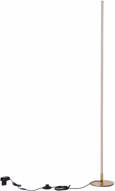 Livingandhome Modern Dimmable LED Floor Light with Remote Control in Gold/Brass
